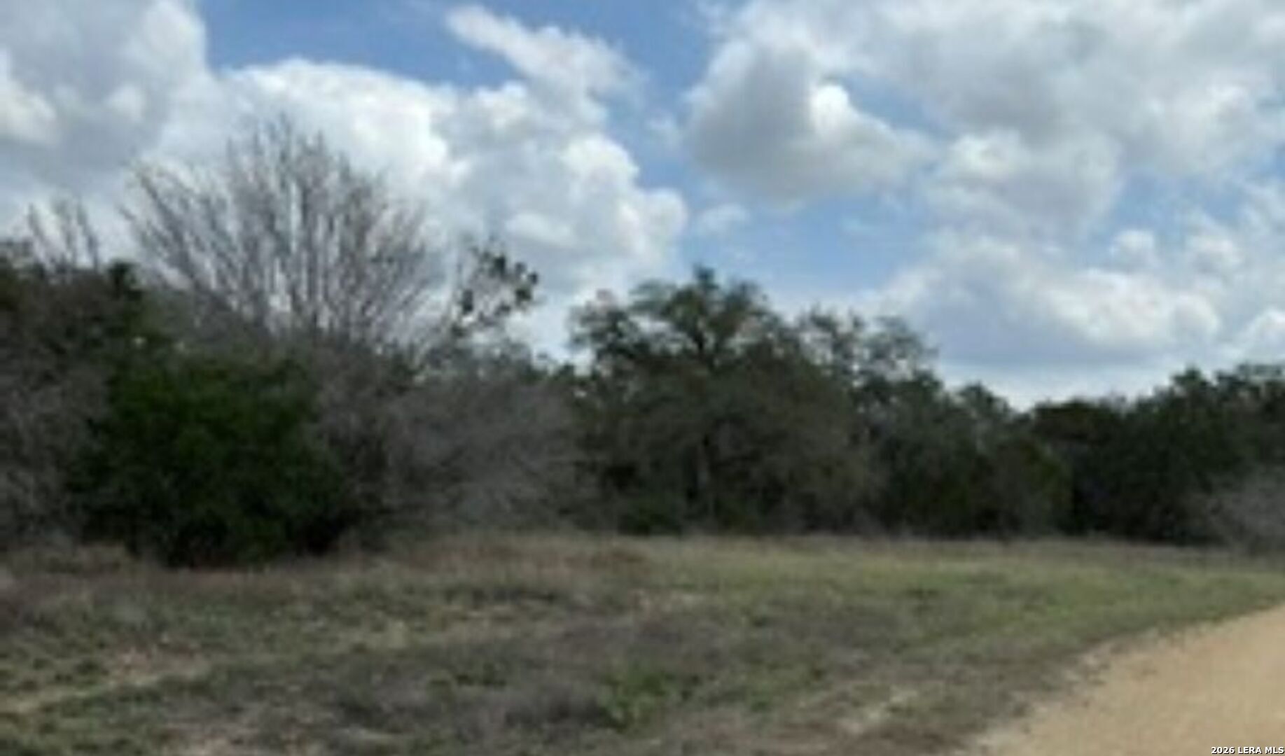 183 Fossil Spring Branch, TX 78070 - Photo 7 of 11 a view of a yard