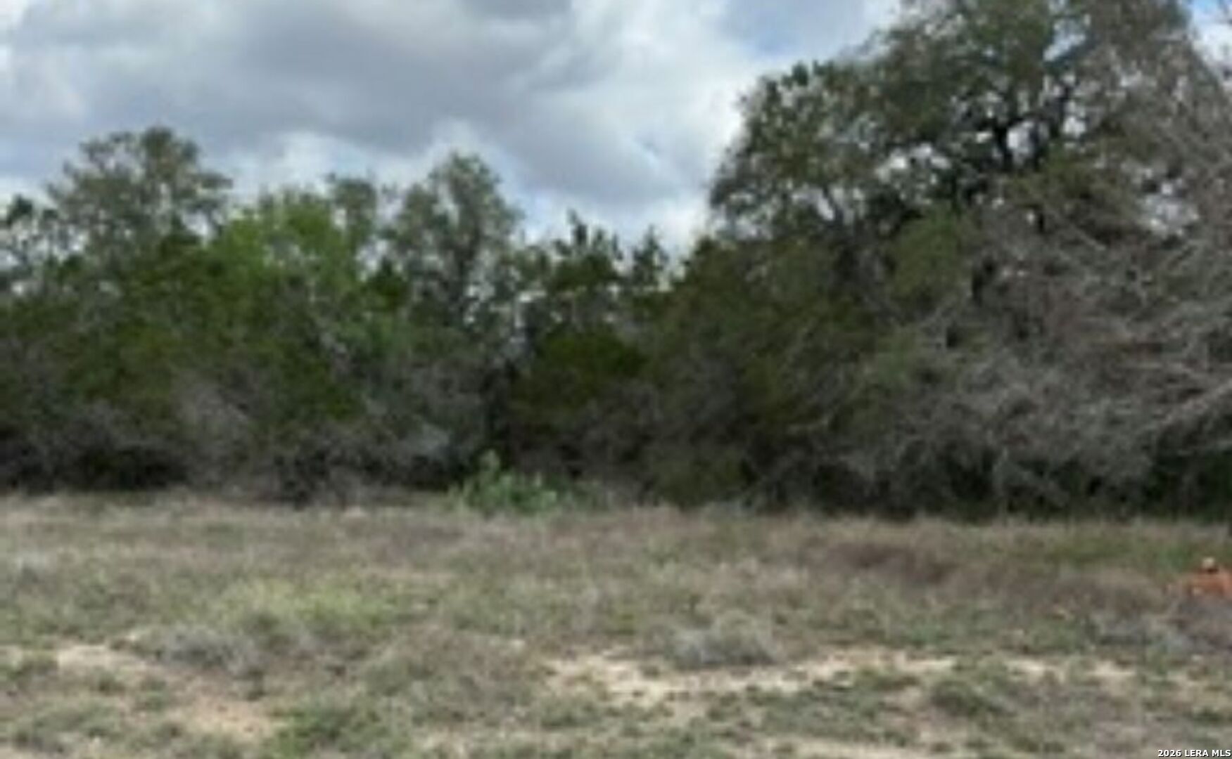 183 Fossil Spring Branch, TX 78070 - Photo 8 of 11 a view of a dry yard with trees
