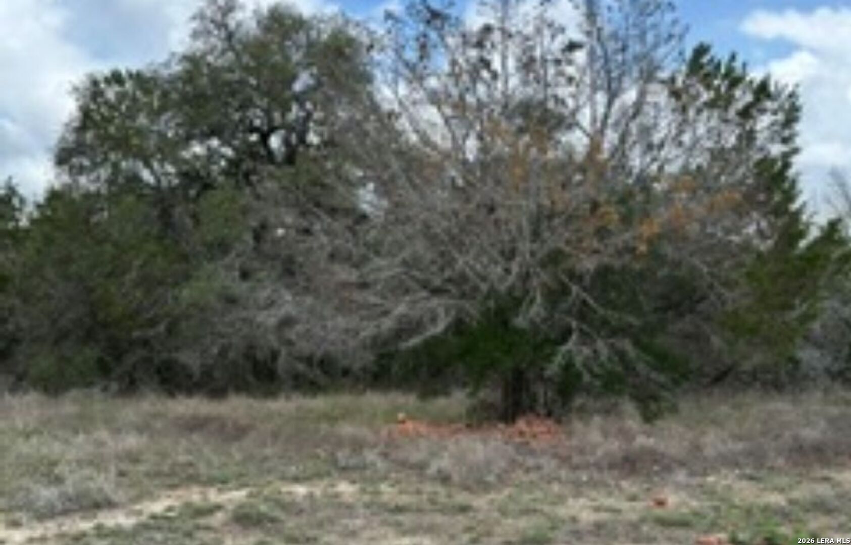 183 Fossil Spring Branch, TX 78070 - Photo 9 of 11 a view of a forest with trees in the background
