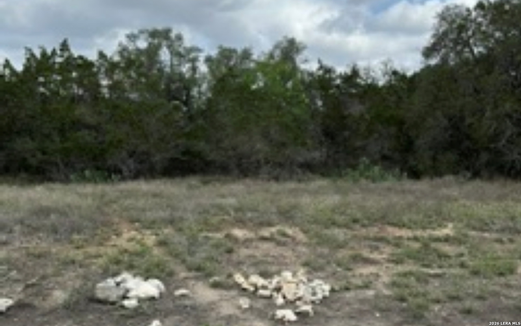 183 Fossil Spring Branch, TX 78070 - Photo 10 of 11 a view of a dry yard with trees