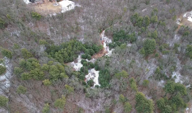 a view of a yard with trees