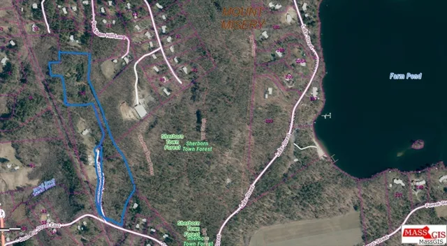 a view of a dry yard with trees