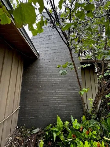 a view of a backyard