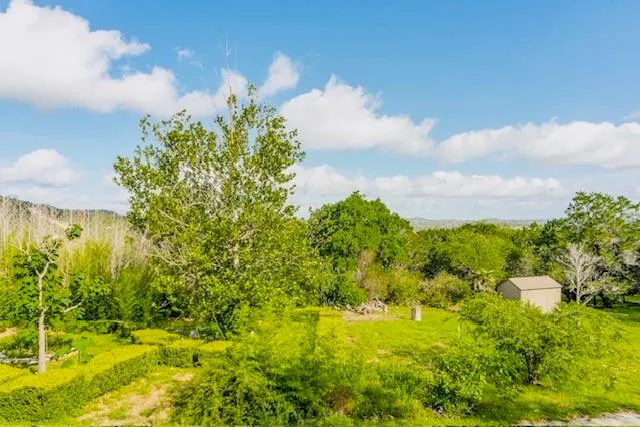 a view of a lake with a yard