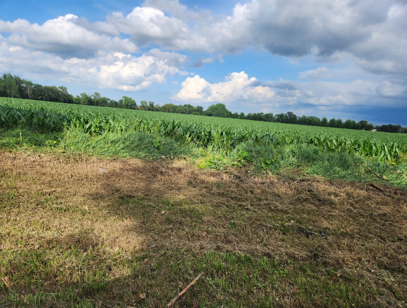 15218 Harmony Road Huntley, IL 60142 - Photo 31 of 37