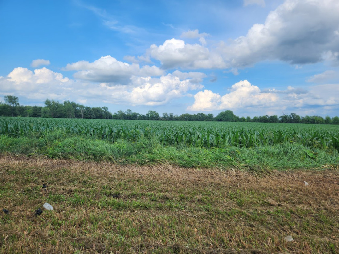 15218 Harmony Road Huntley, IL 60142 - Photo 73 of 81