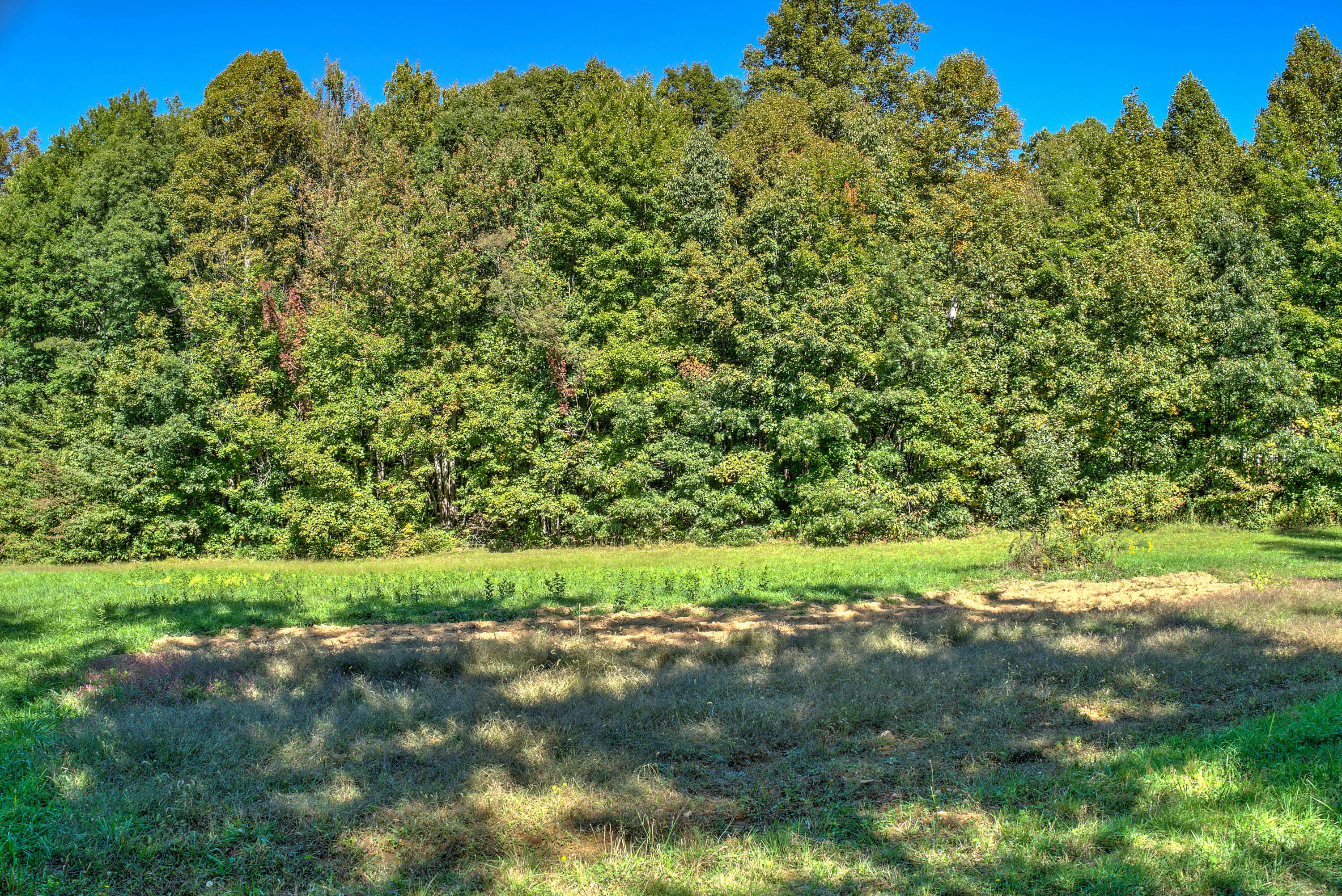 Tbd Sweet Hollow Road, Unit 7B Bristol, TN 37620 - Photo 16 of 16 Sweet Hollow Rd