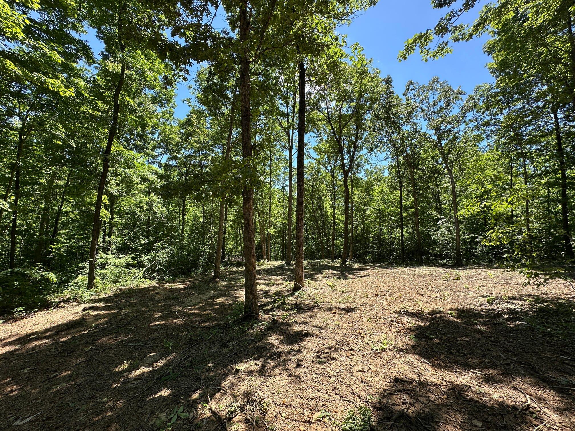 10 Riverside Benleo Road Bowling Green, KY 42101 - Photo 4 of 17 Clearing