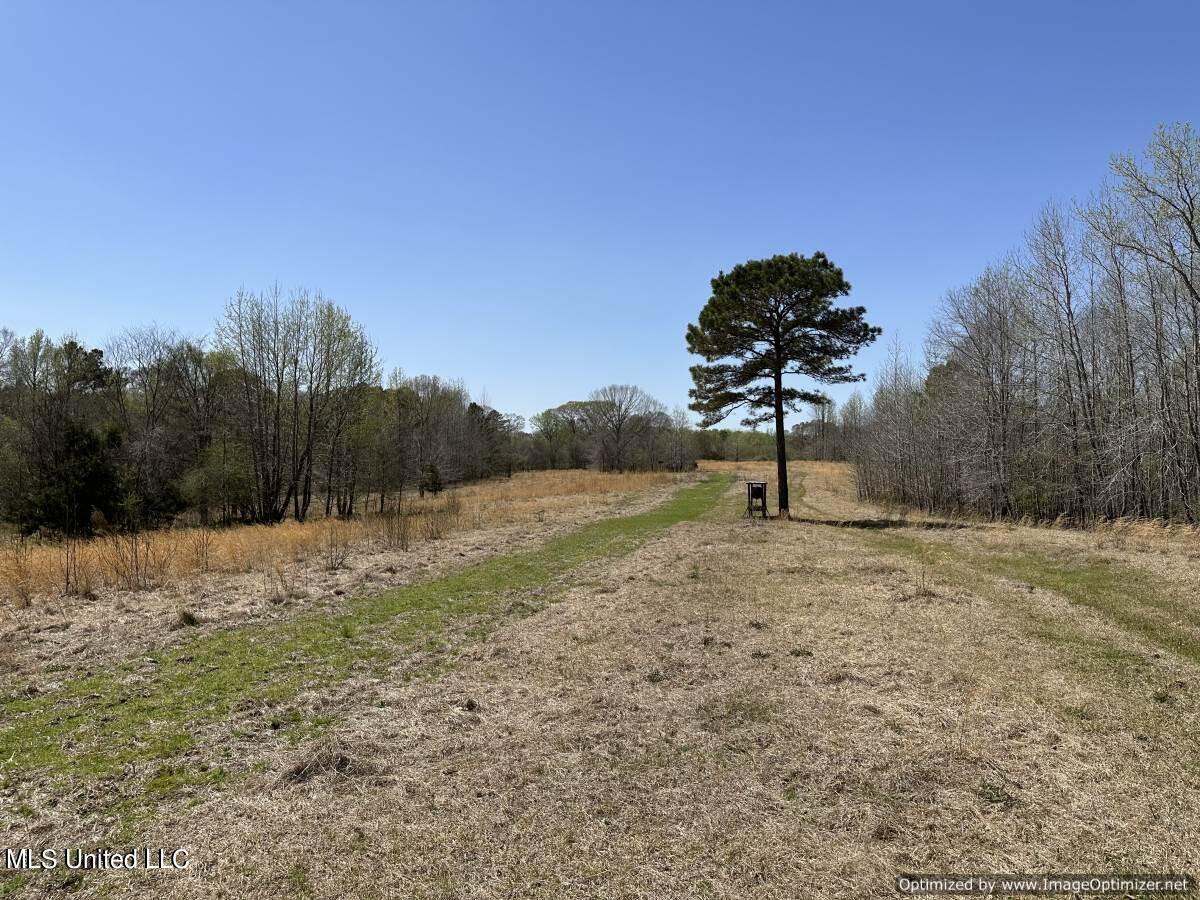 5831 Hopewell Road Lexington, MS 39095 - Photo 1 of 30 field