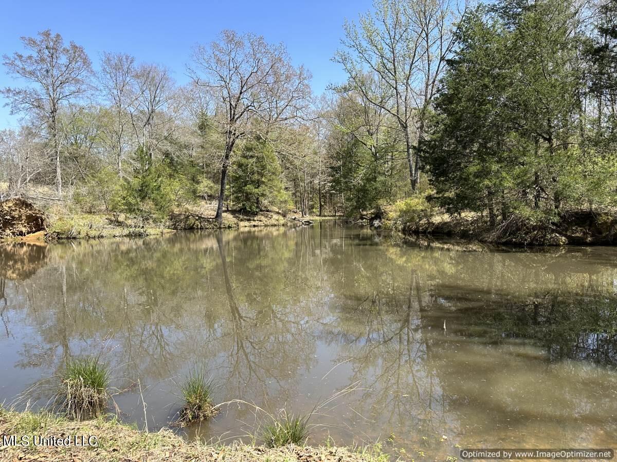 5831 Hopewell Road Lexington, MS 39095 - Photo 11 of 30 land-for-sale-holmes-county-ms (3)