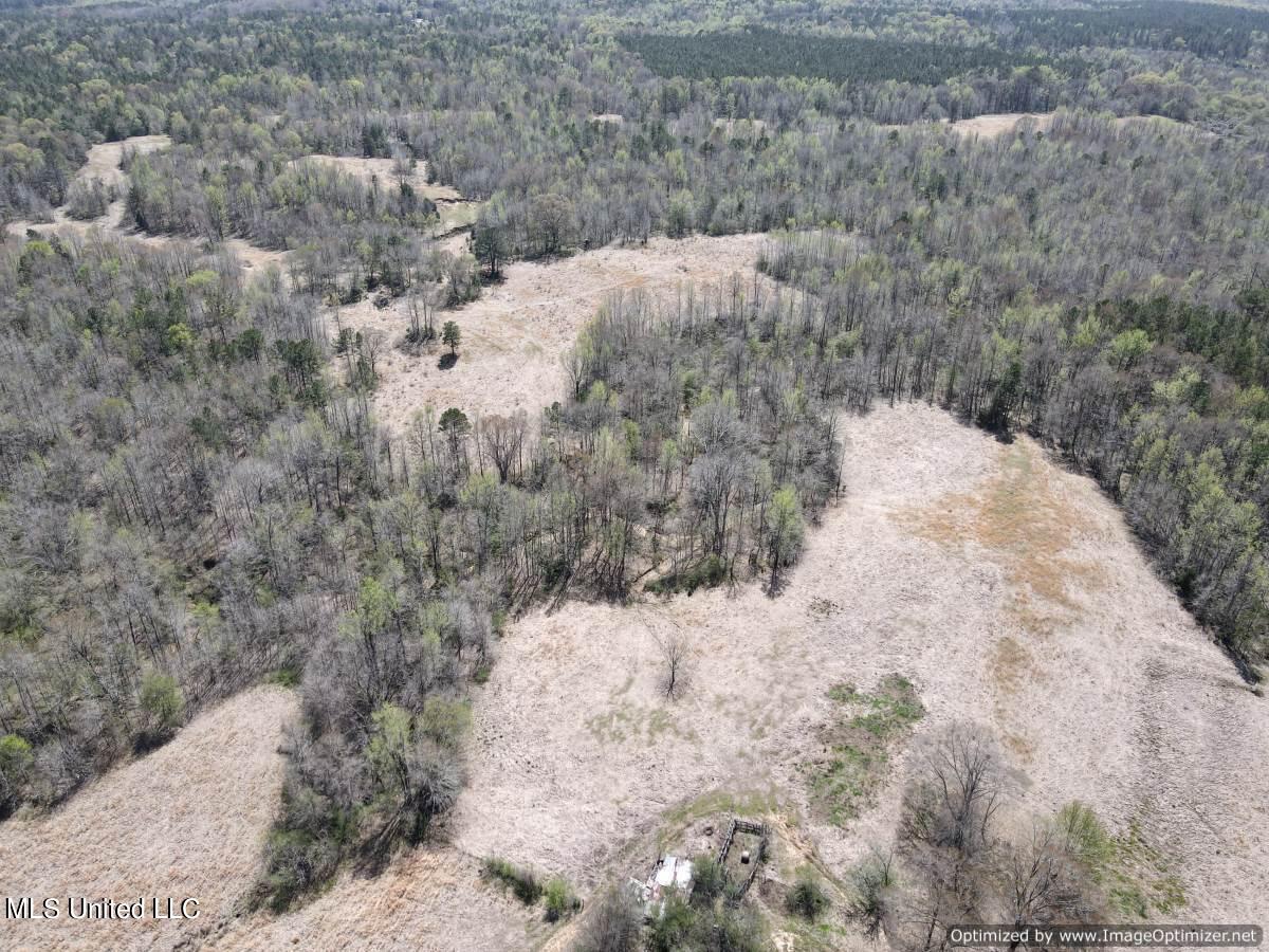5831 Hopewell Road Lexington, MS 39095 - Photo 12 of 30 land-for-sale-holmes-county-ms (4)