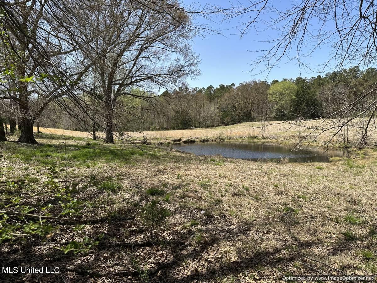5831 Hopewell Road Lexington, MS 39095 - Photo 14 of 30 land-for-sale-holmes-county-ms (6)