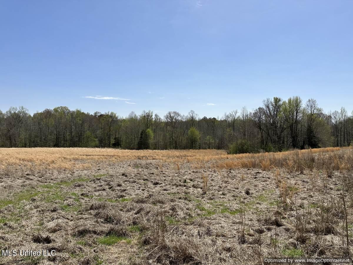 5831 Hopewell Road Lexington, MS 39095 - Photo 15 of 30 land-for-sale-holmes-county-ms (7)