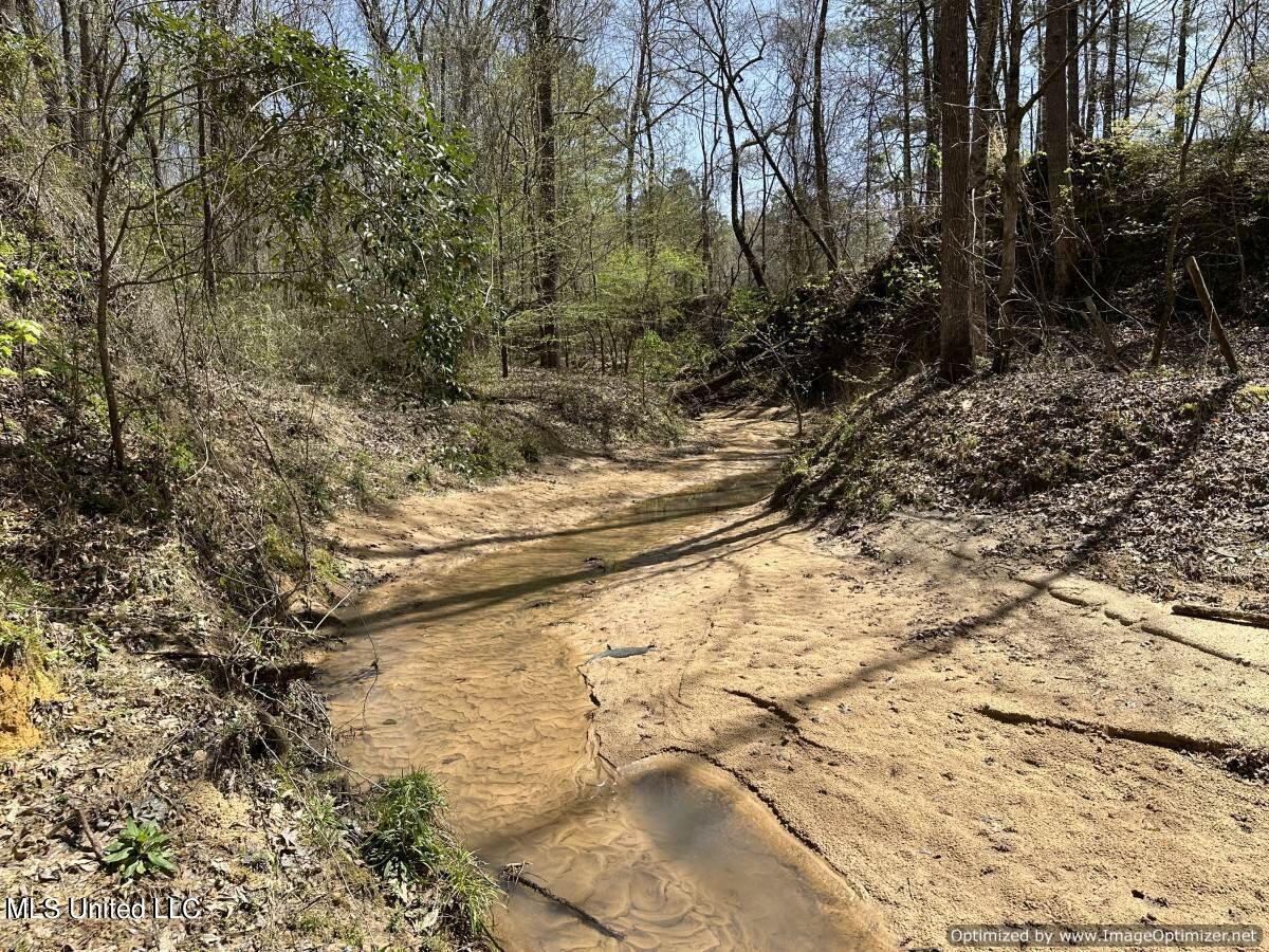 5831 Hopewell Road Lexington, MS 39095 - Photo 17 of 30 land-for-sale-holmes-county-ms (9)