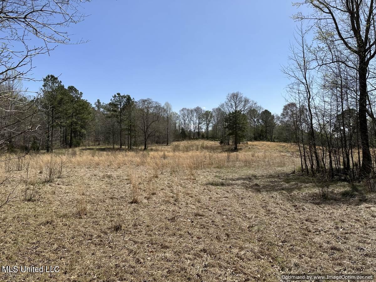 5831 Hopewell Road Lexington, MS 39095 - Photo 18 of 30 land-for-sale-holmes-county-ms (10)