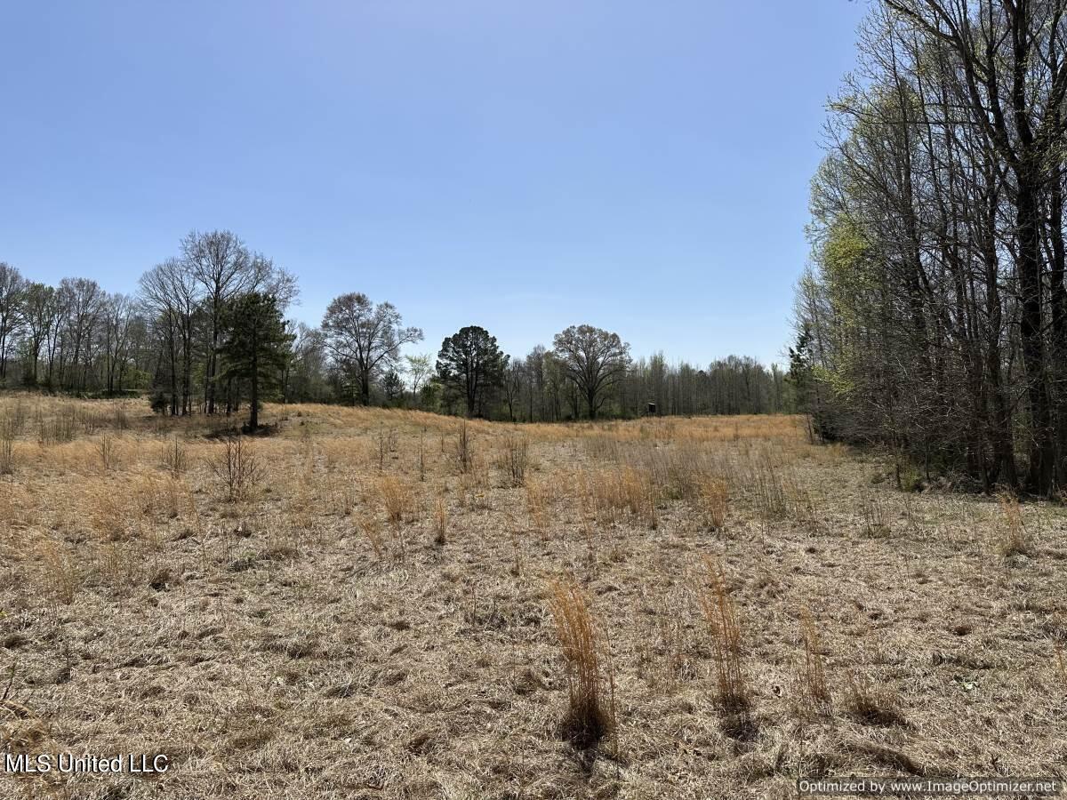 5831 Hopewell Road Lexington, MS 39095 - Photo 19 of 30 land-for-sale-holmes-county-ms (11)