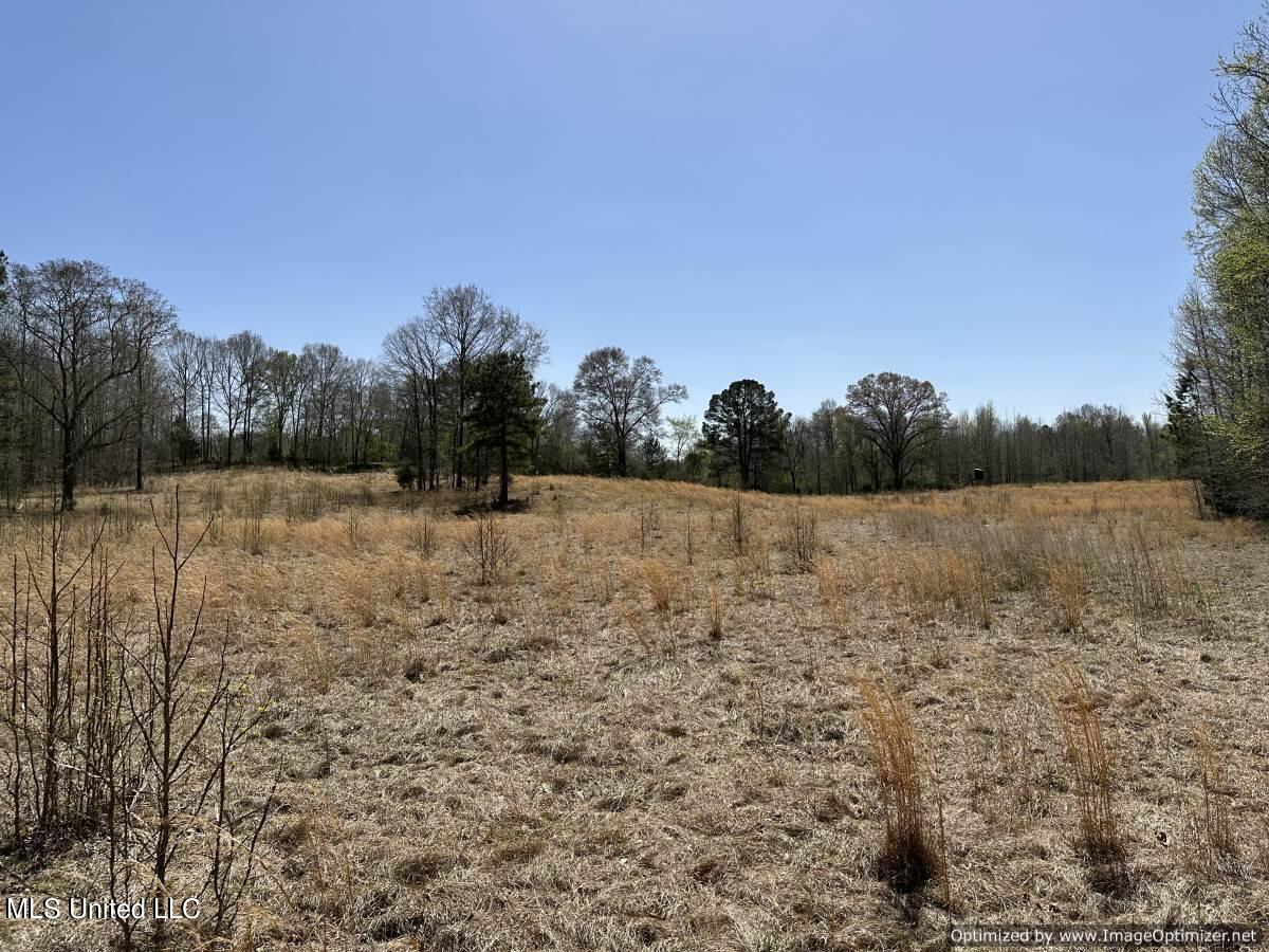 5831 Hopewell Road Lexington, MS 39095 - Photo 20 of 30 land-for-sale-holmes-county-ms (12)