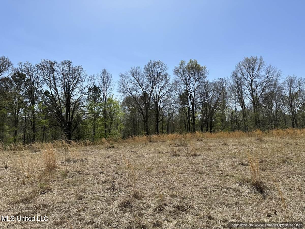5831 Hopewell Road Lexington, MS 39095 - Photo 2 of 30 land-for-sale-holmes-county-ms (23)