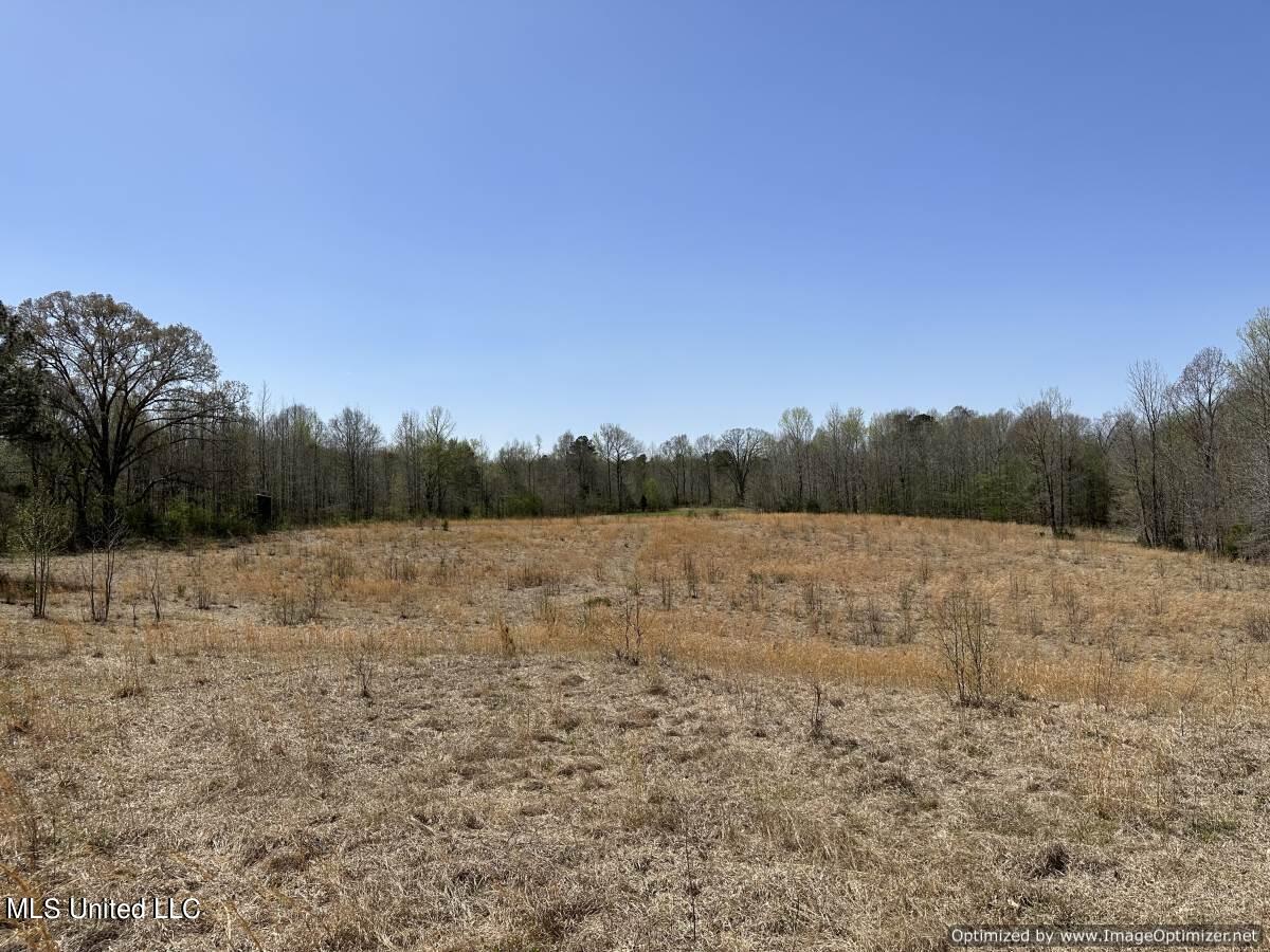 5831 Hopewell Road Lexington, MS 39095 - Photo 21 of 30 land-for-sale-holmes-county-ms (13)