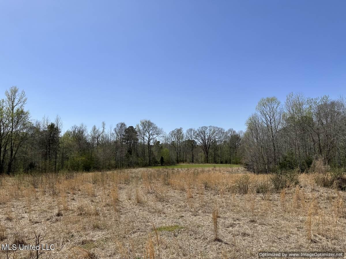 5831 Hopewell Road Lexington, MS 39095 - Photo 22 of 30 land-for-sale-holmes-county-ms (14)