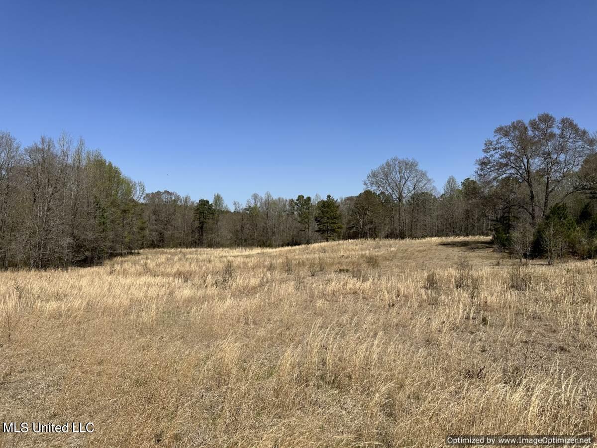5831 Hopewell Road Lexington, MS 39095 - Photo 23 of 30 land-for-sale-holmes-county-ms (15)