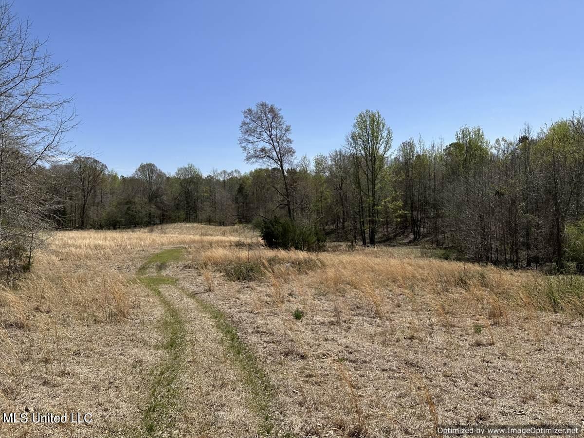 5831 Hopewell Road Lexington, MS 39095 - Photo 24 of 30 land-for-sale-holmes-county-ms (16)