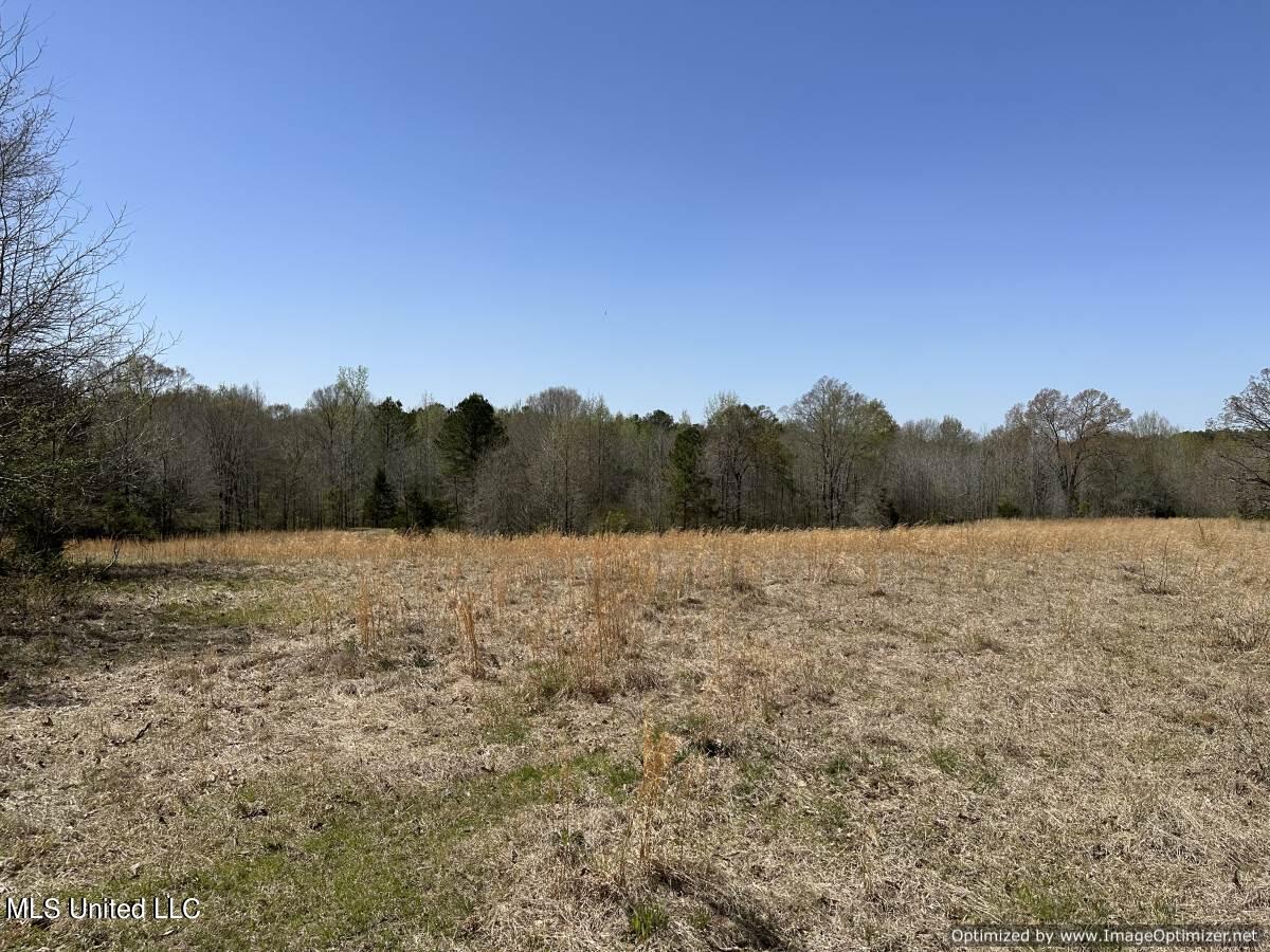 5831 Hopewell Road Lexington, MS 39095 - Photo 25 of 30 land-for-sale-holmes-county-ms (17)
