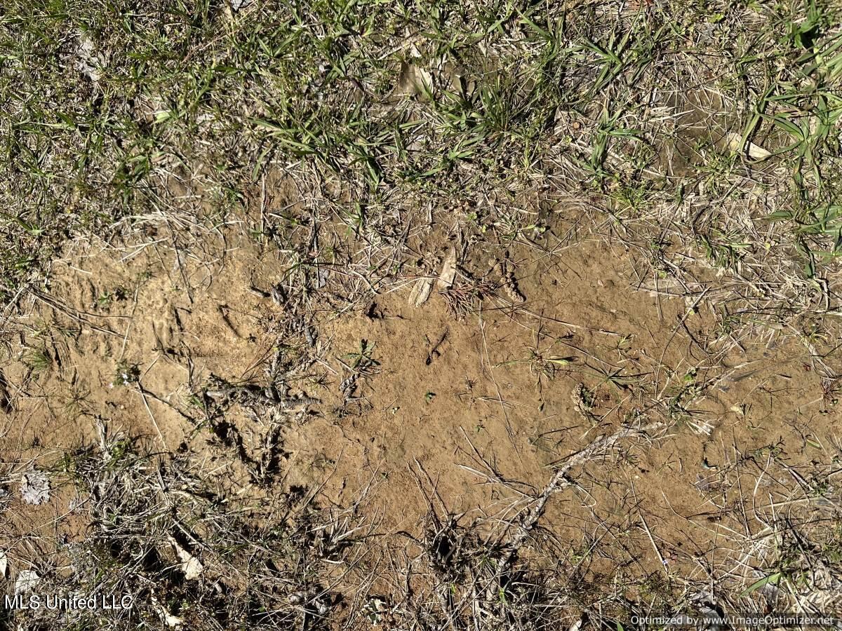 5831 Hopewell Road Lexington, MS 39095 - Photo 26 of 30 land-for-sale-holmes-county-ms (18)