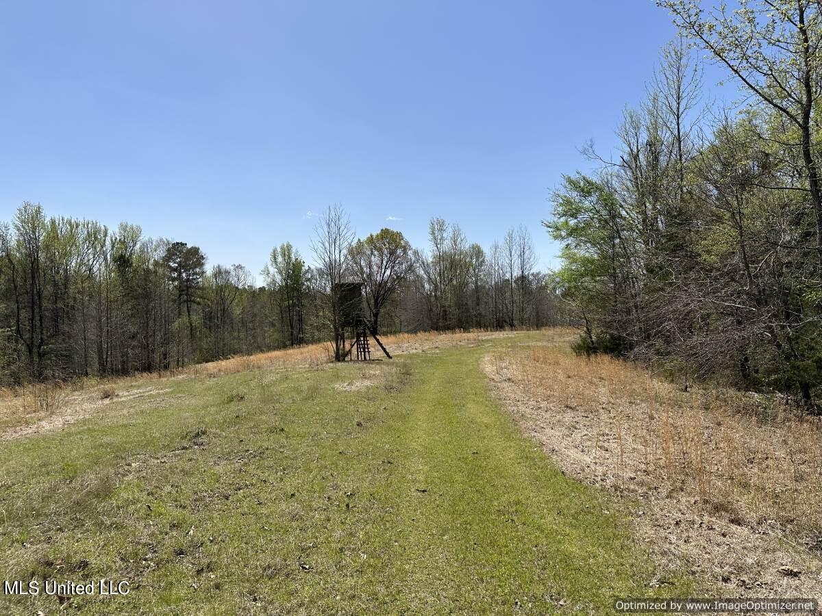 5831 Hopewell Road Lexington, MS 39095 - Photo 27 of 30 land-for-sale-holmes-county-ms (19)