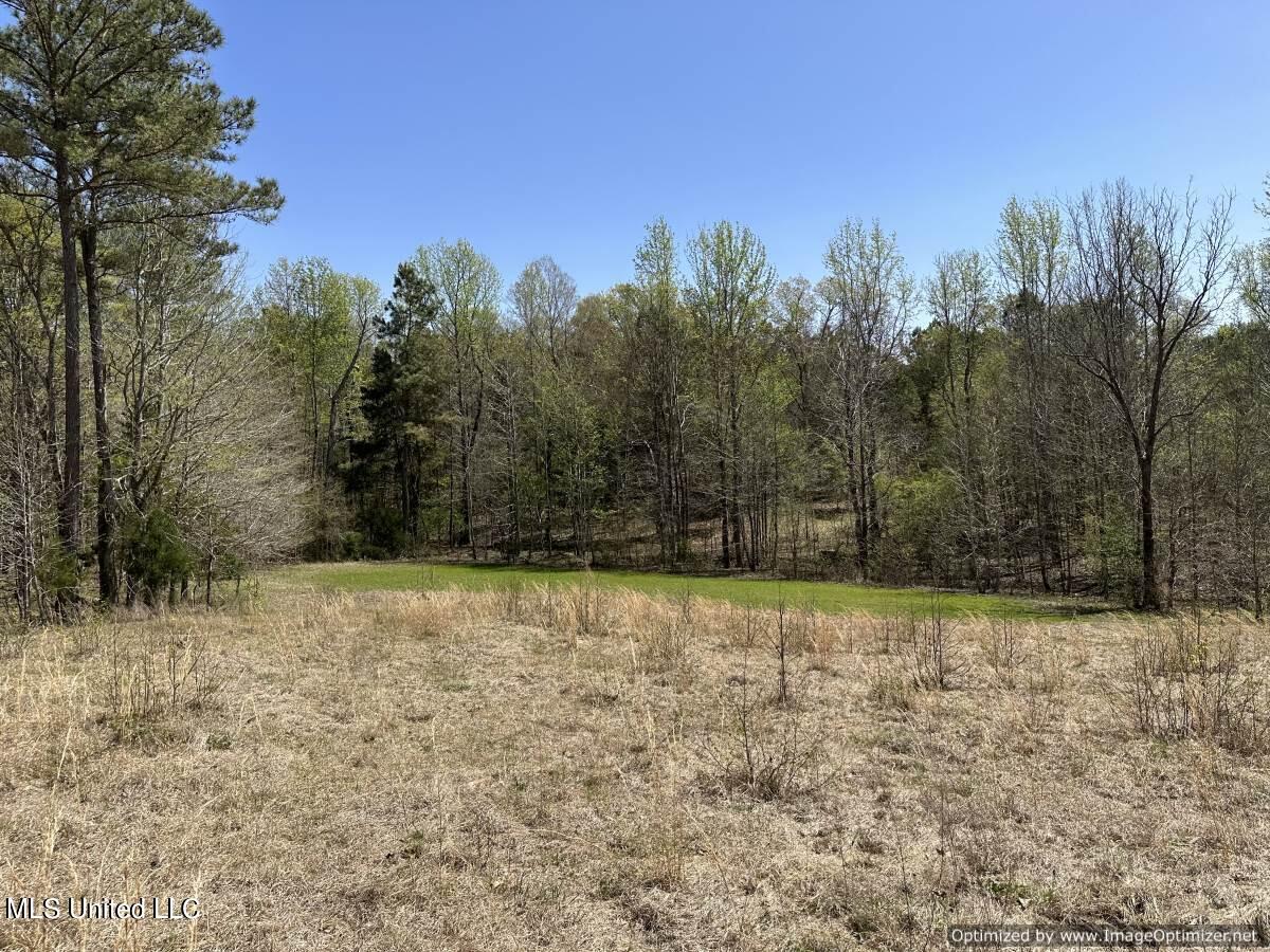 5831 Hopewell Road Lexington, MS 39095 - Photo 28 of 30 land-for-sale-holmes-county-ms (20)
