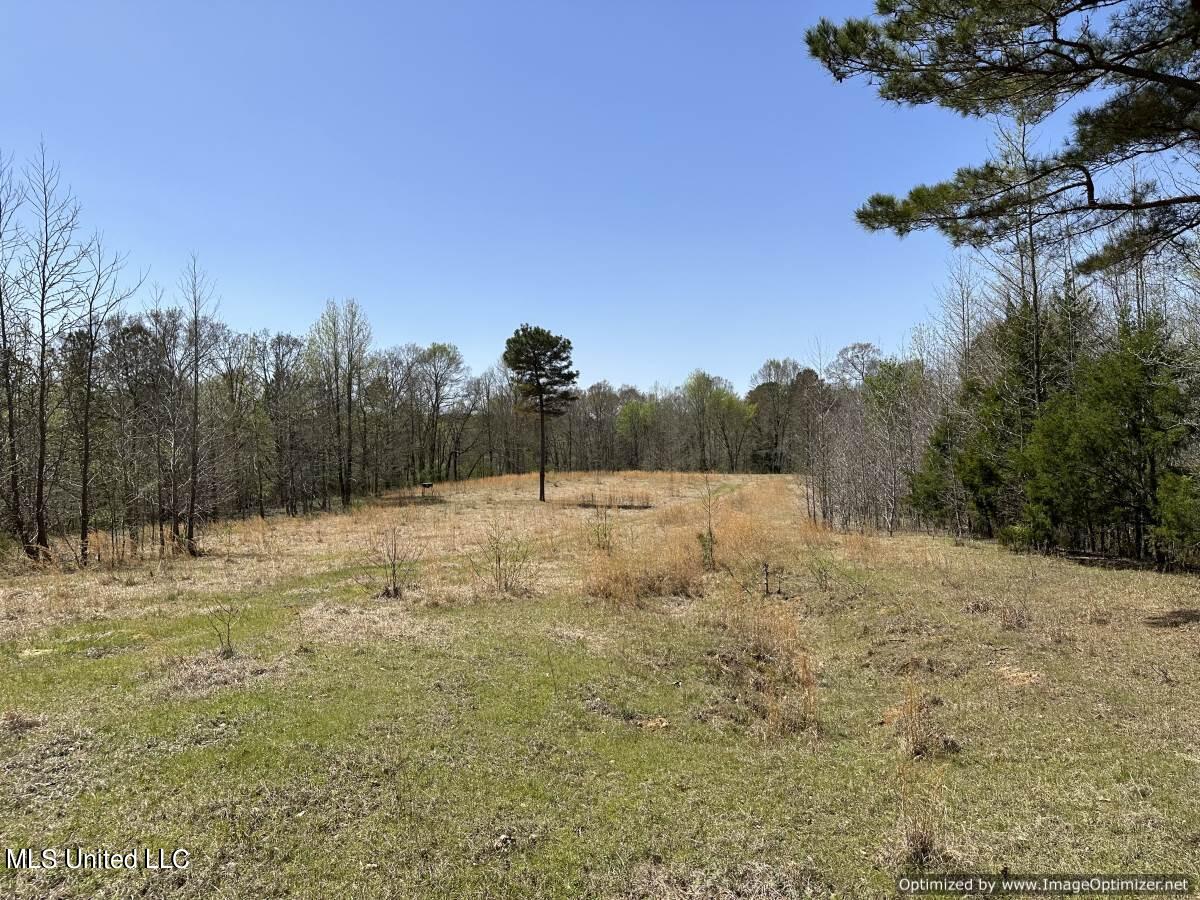 5831 Hopewell Road Lexington, MS 39095 - Photo 29 of 30 land-for-sale-holmes-county-ms (21)