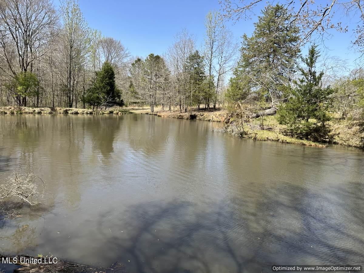 5831 Hopewell Road Lexington, MS 39095 - Photo 30 of 30 land-for-sale-holmes-county-ms (22)
