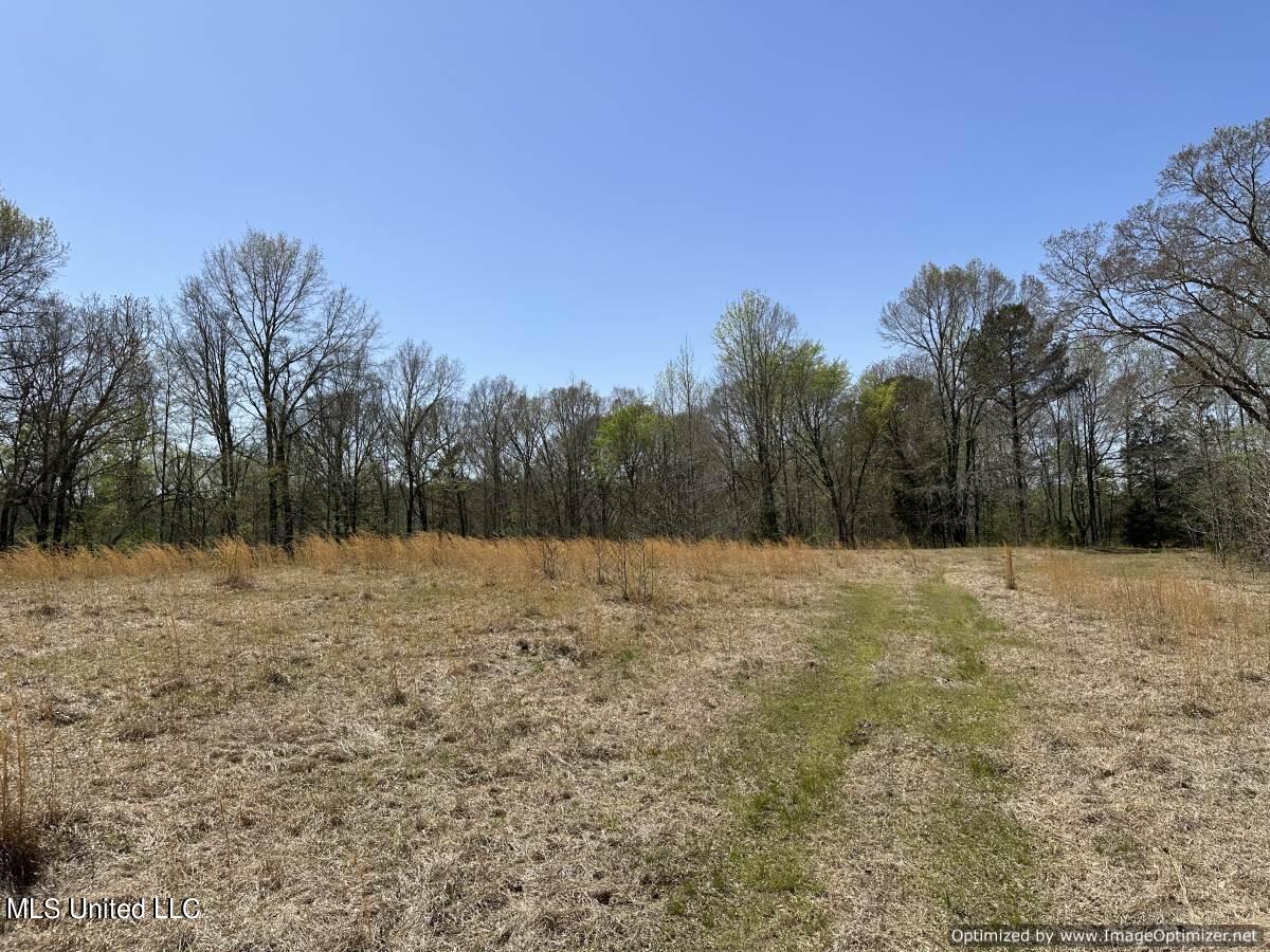 5831 Hopewell Road Lexington, MS 39095 - Photo 3 of 30 land-for-sale-holmes-county-ms (24)