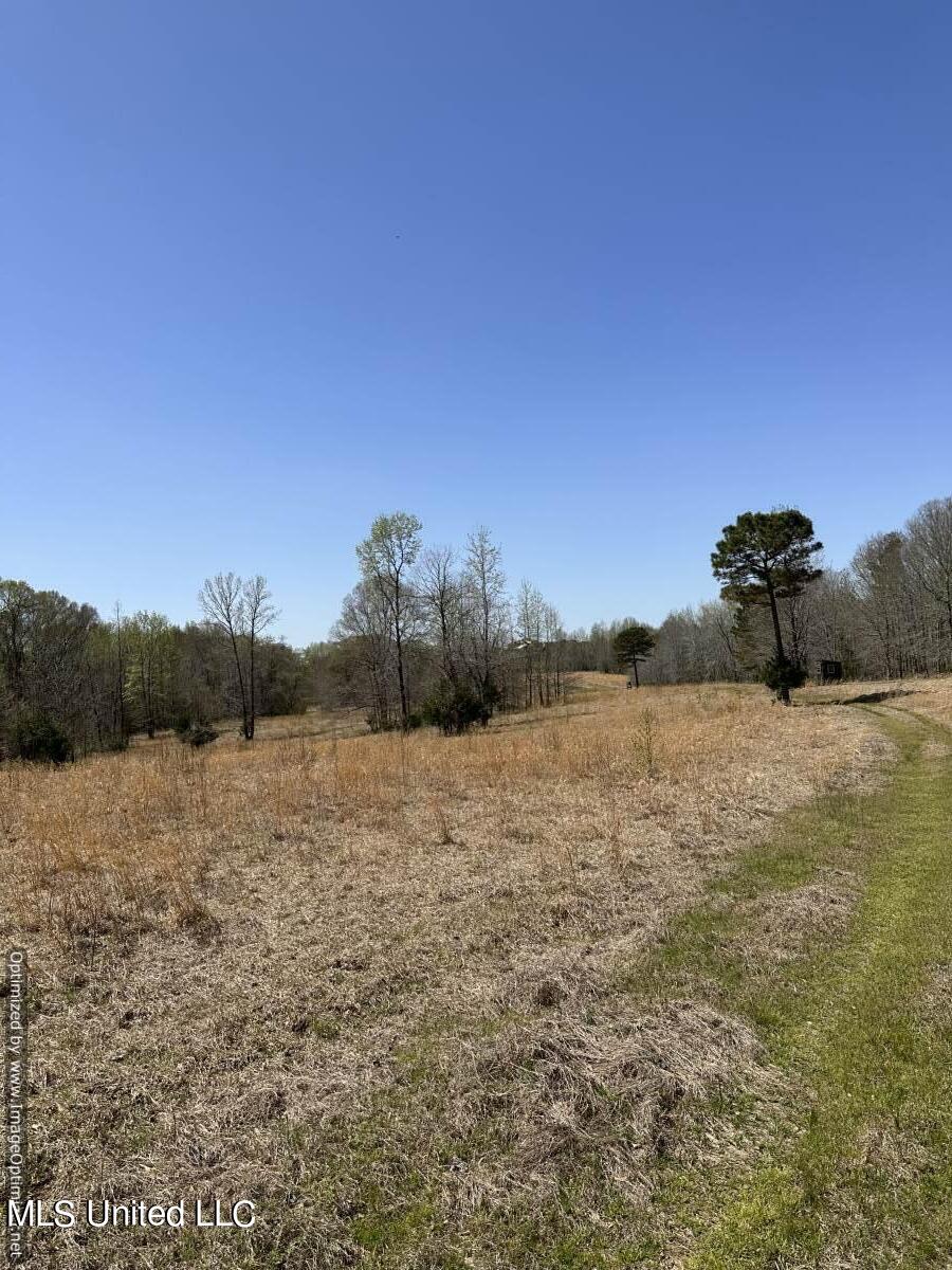 5831 Hopewell Road Lexington, MS 39095 - Photo 4 of 30 land-for-sale-holmes-county-ms (25)