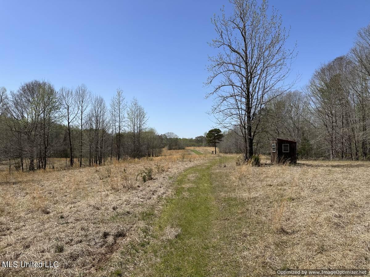 5831 Hopewell Road Lexington, MS 39095 - Photo 5 of 30 land-for-sale-holmes-county-ms (26)