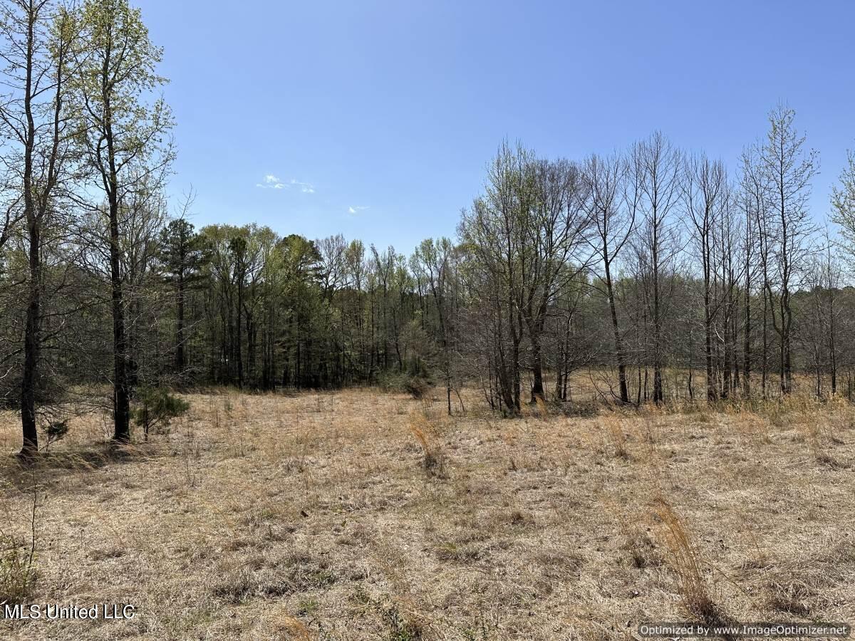 5831 Hopewell Road Lexington, MS 39095 - Photo 6 of 30 land-for-sale-holmes-county-ms (27)