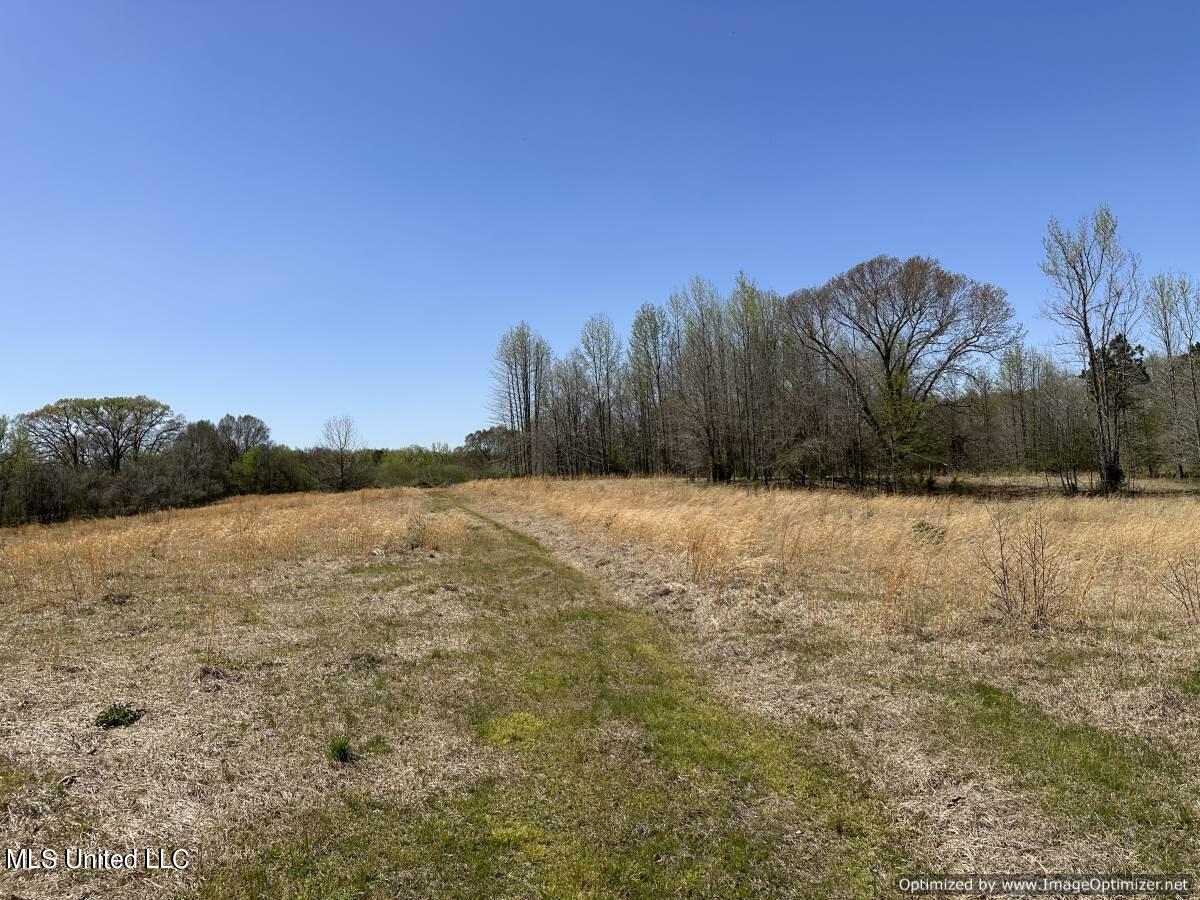 5831 Hopewell Road Lexington, MS 39095 - Photo 7 of 30 land-for-sale-holmes-county-ms (29)