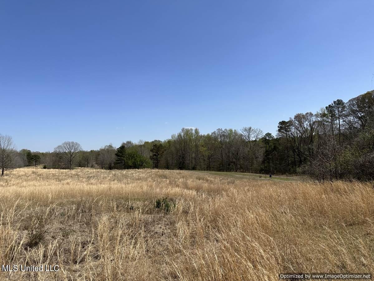 5831 Hopewell Road Lexington, MS 39095 - Photo 8 of 30 land-for-sale-holmes-county-ms (30)