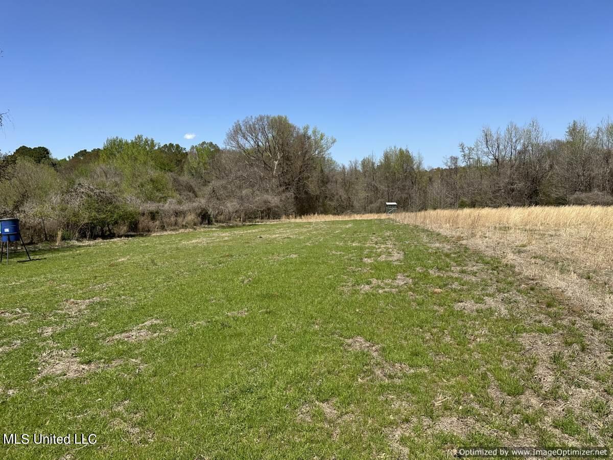 5831 Hopewell Road Lexington, MS 39095 - Photo 9 of 30 land-for-sale-holmes-county-ms (1)