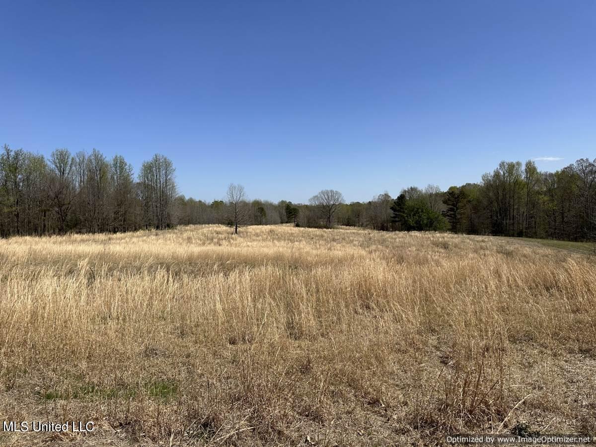 5831 Hopewell Road Lexington, MS 39095 - Photo 10 of 30 land-for-sale-holmes-county-ms (2)