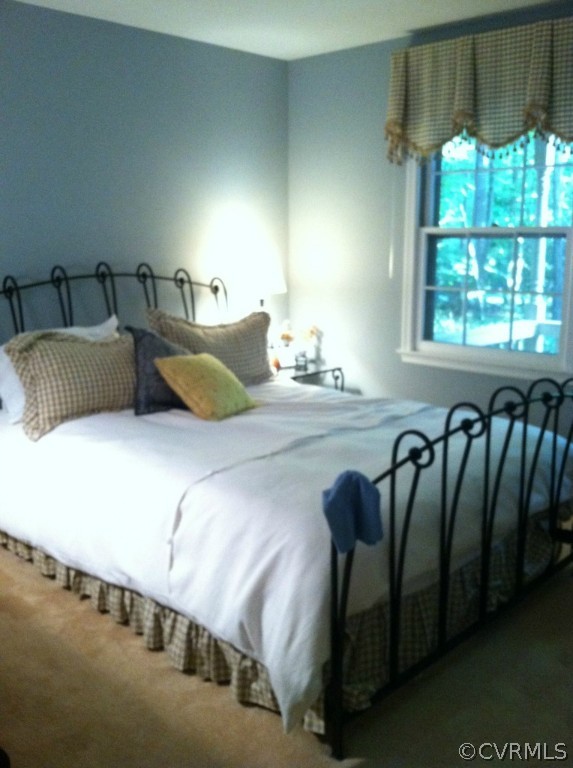 1028 Ruffin Mill Court Colonial Heights, VA 23834 - Photo 12 of 22 Gallery Image 12