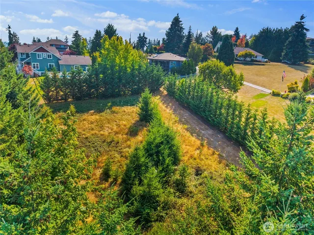 a view of a lake with a building in the background