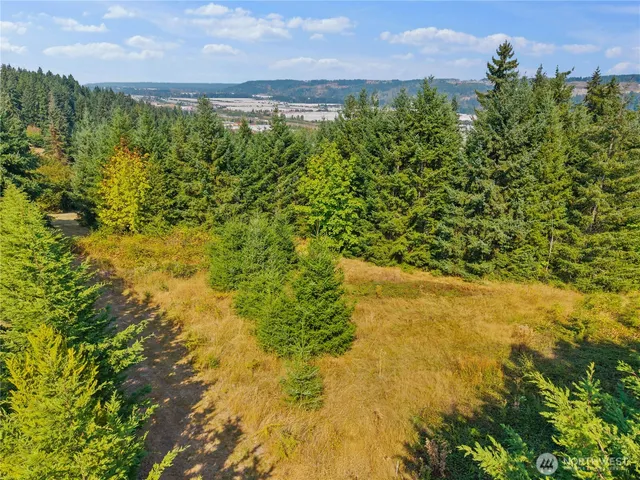 an aerial view of residential houses with outdoor space and trees