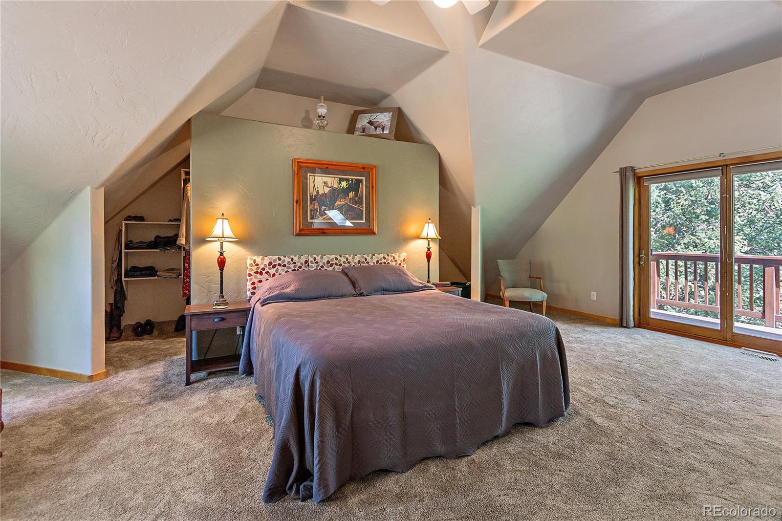 243 Sunny Ridge Lane Bailey, CO 80421 - Photo 21 of 40 Gallery Image 21