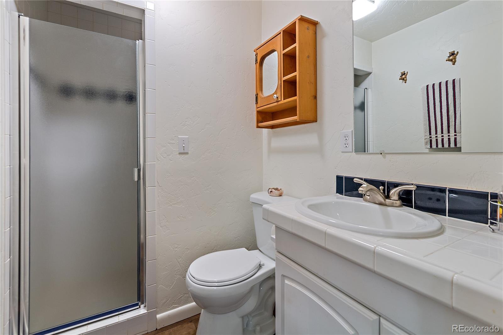243 Sunny Ridge Lane Bailey, CO 80421 - Photo 35 of 40 Gallery Image 35