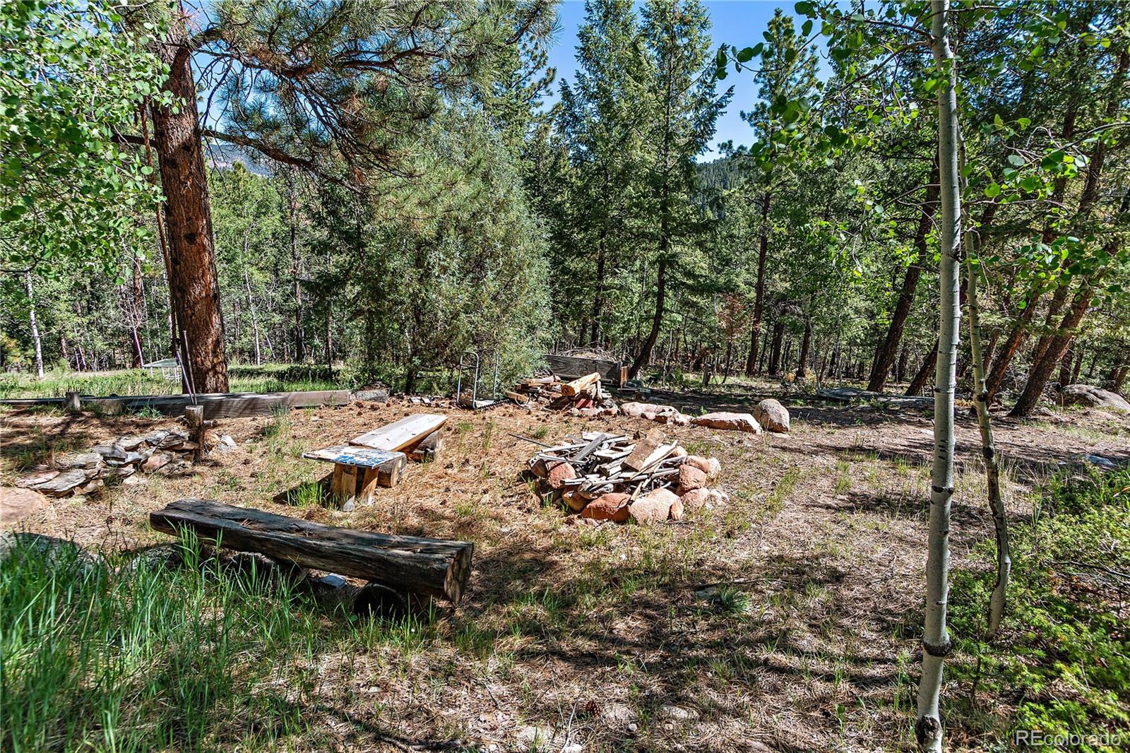 243 Sunny Ridge Lane Bailey, CO 80421 - Photo 38 of 40 Gallery Image 38