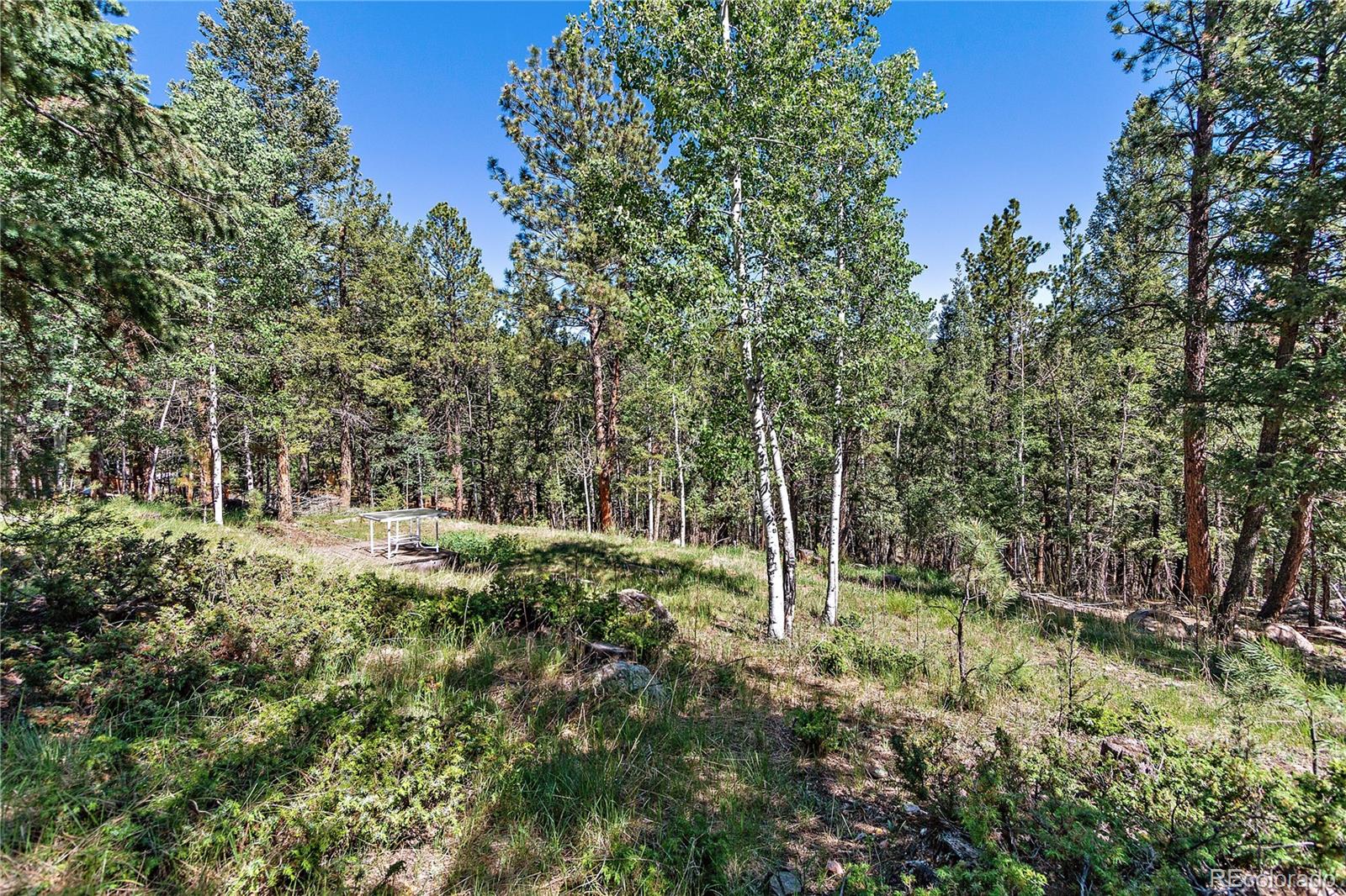 243 Sunny Ridge Lane Bailey, CO 80421 - Photo 39 of 40 Gallery Image 39