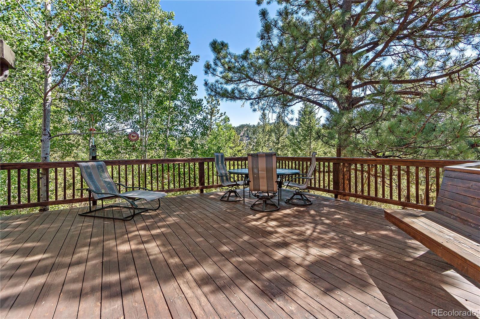 243 Sunny Ridge Lane Bailey, CO 80421 - Photo 5 of 40 Gallery Image 5