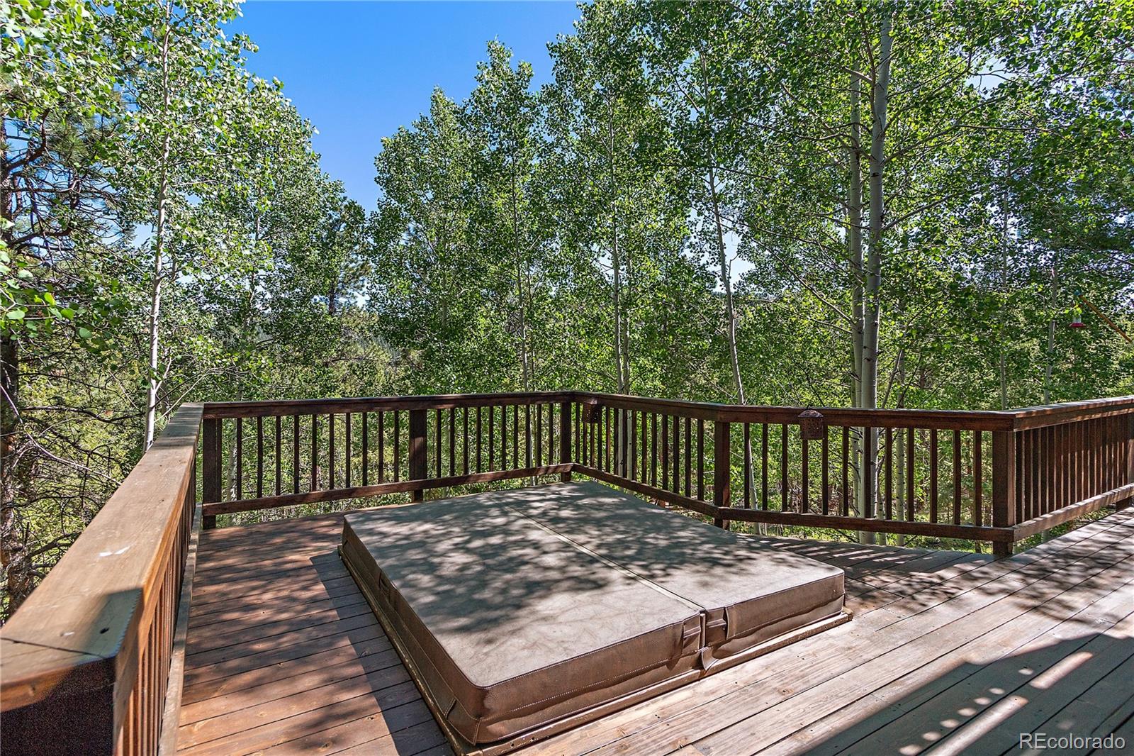 243 Sunny Ridge Lane Bailey, CO 80421 - Photo 8 of 40 Gallery Image 8