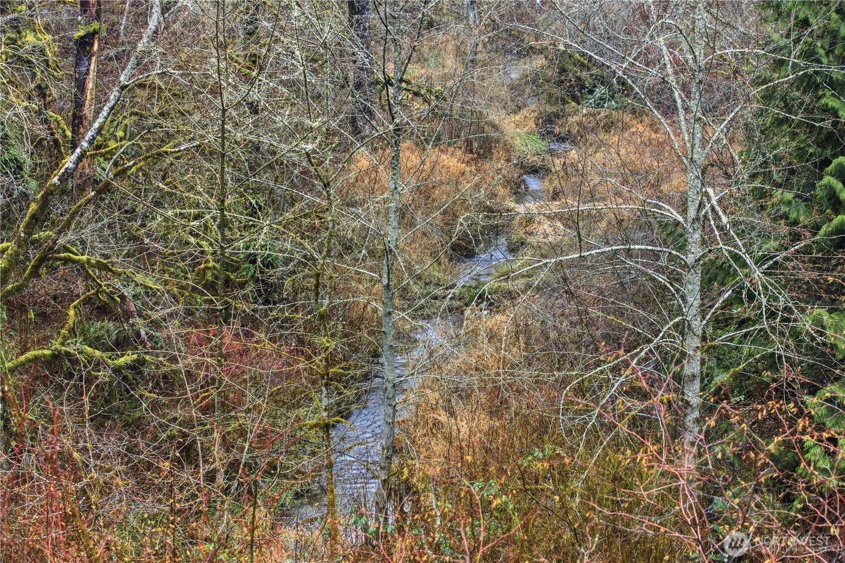 6117 Ames Lake-Carnation Road Northeast Carnation, WA 98014 - Photo 16 of 39